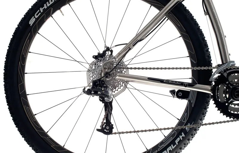 Van Nicholas Zion 29er SLX Disc Titanium Mountain Bike-4